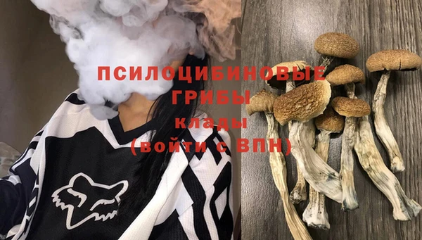 прущая мука Абинск