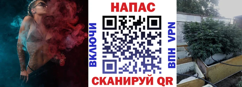 Бошки Шишки Amnesia  площадка телеграм  Ялта 